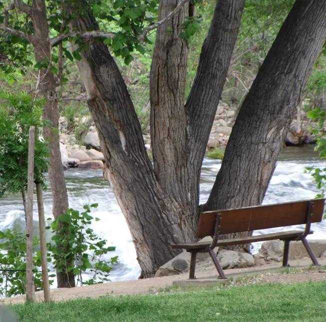 Bench at river